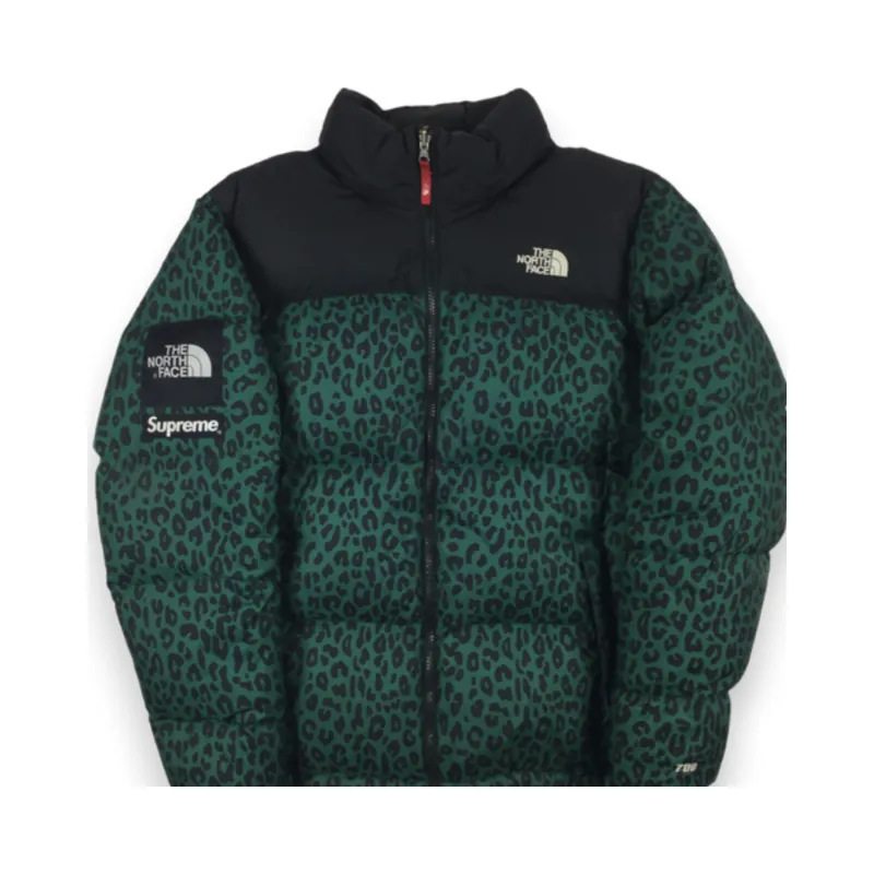 2011 Supreme x The North Face Green Leopard