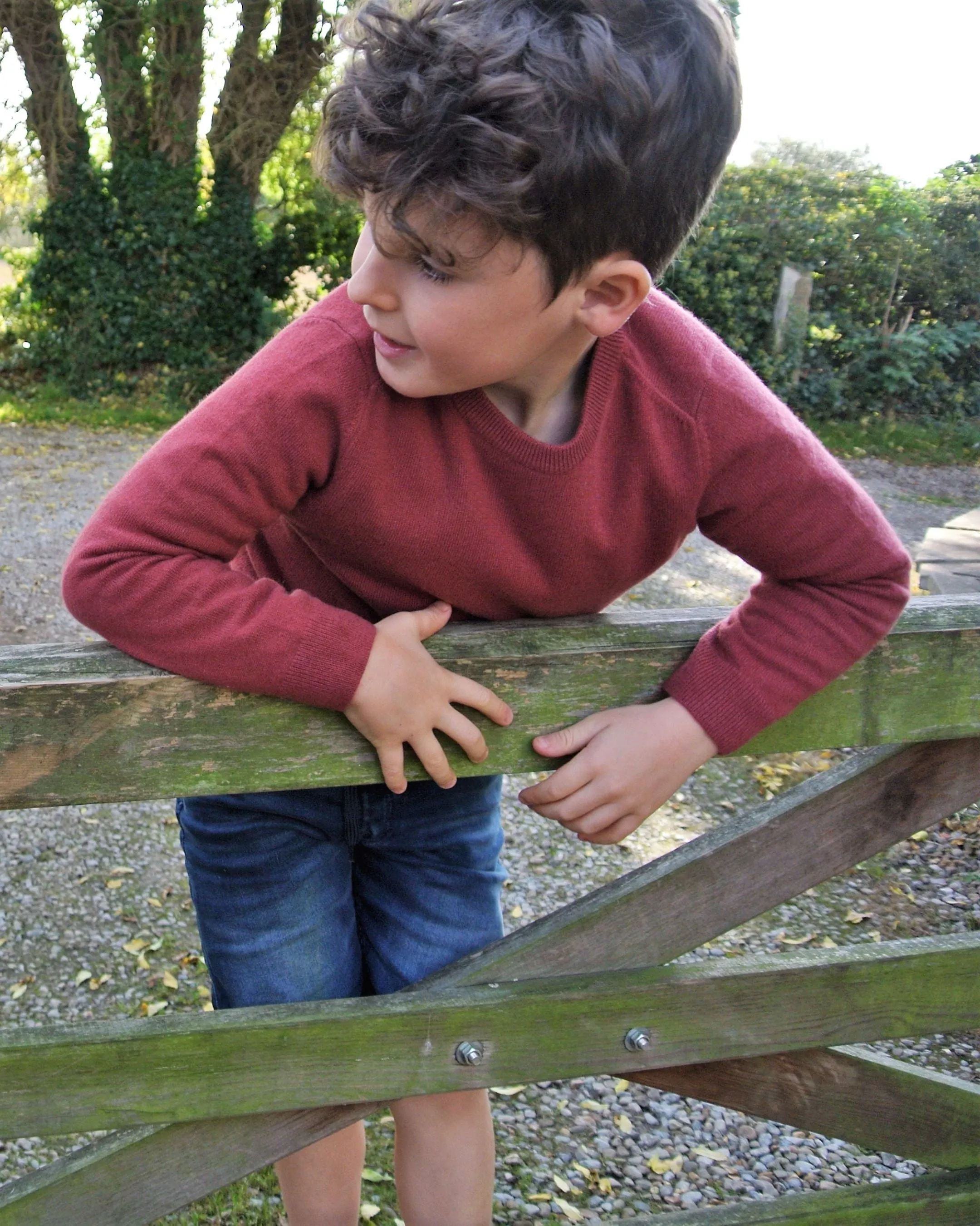 Boys Round Neck Cashmere Jumper Brick Red