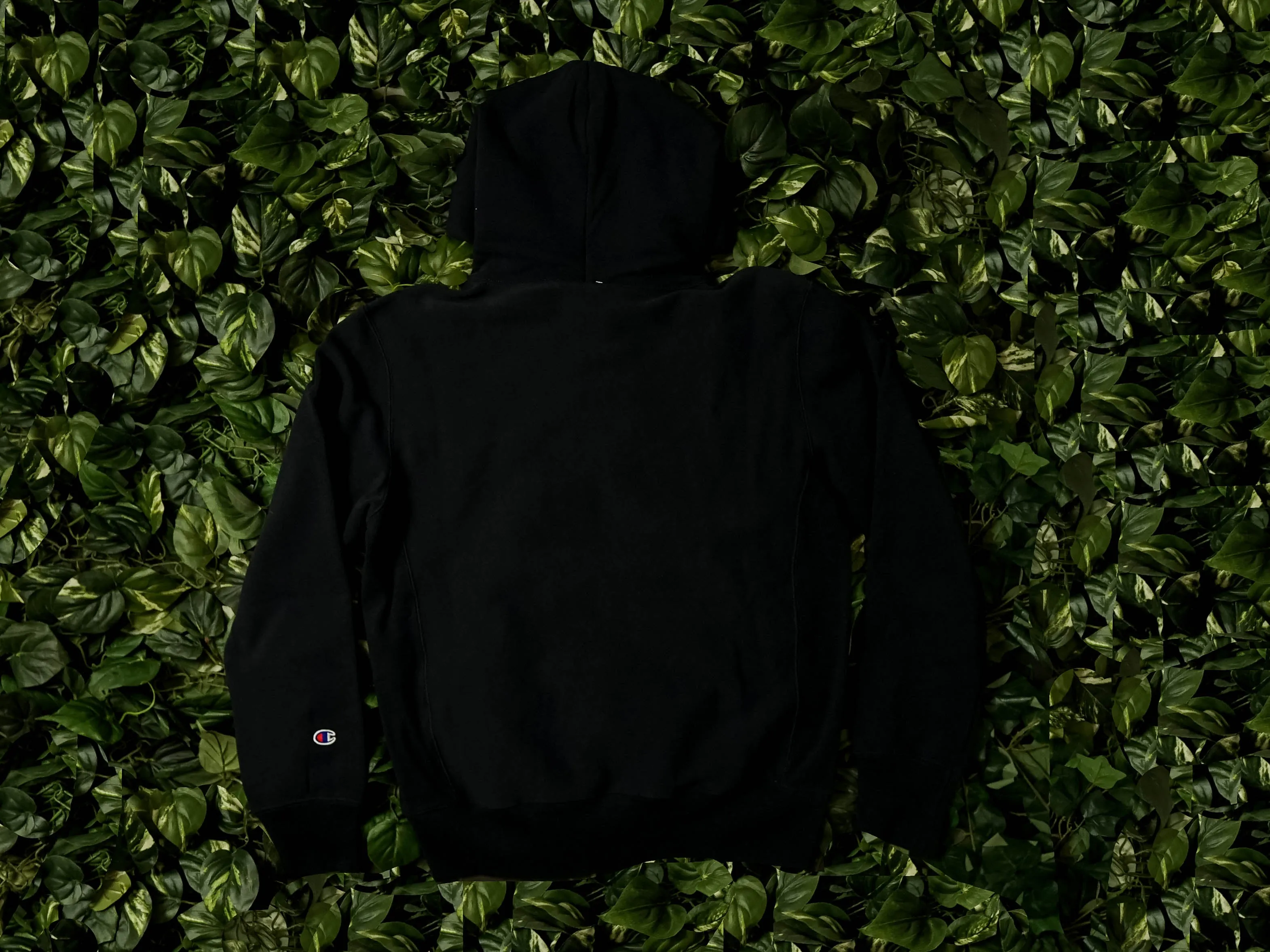 Champion EU Mens Reverse Weave Hoodie