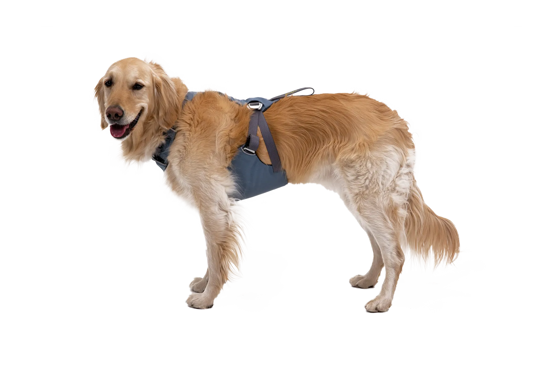 Load Up™ Dog Car Harness