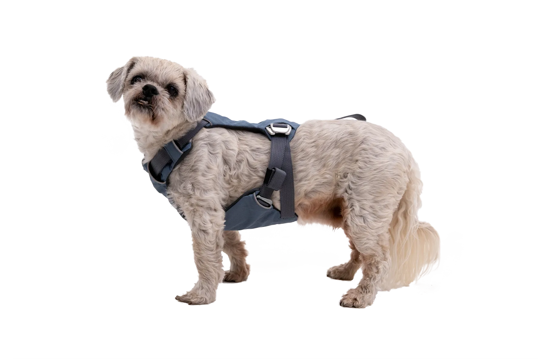 Load Up™ Dog Car Harness