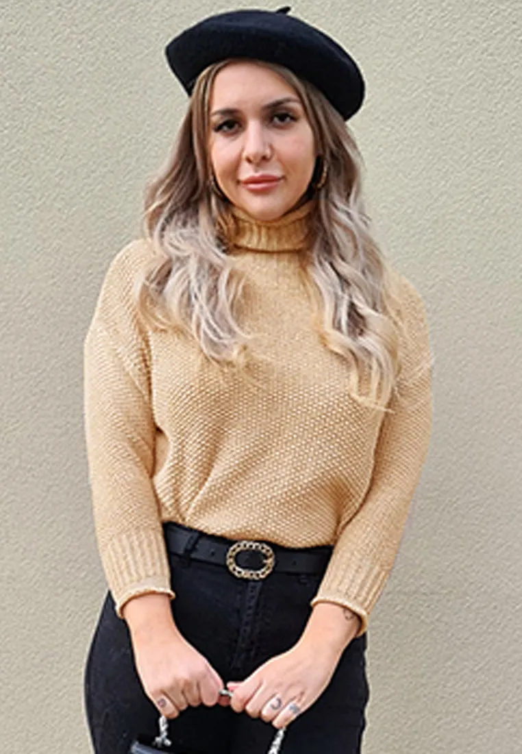 turtle neck knitted pullover